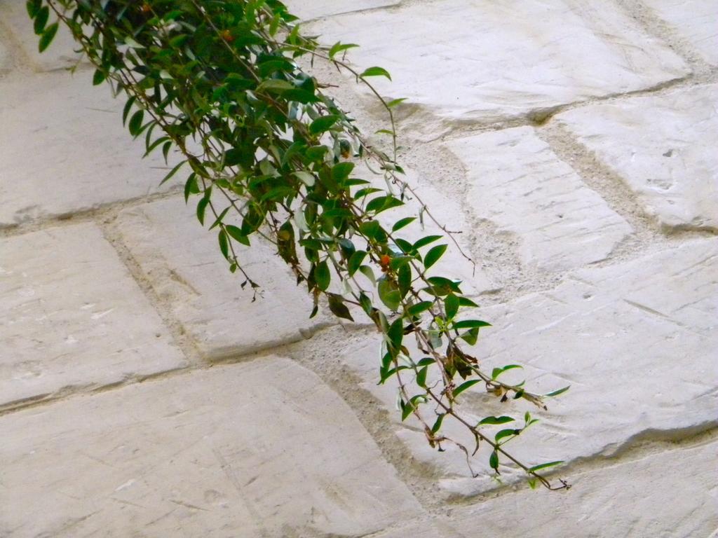 Alvino Suite And Breakfast Lecce Exterior photo